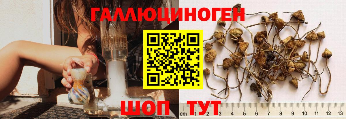 Галлюциногенные грибы ЛСД Балашов
