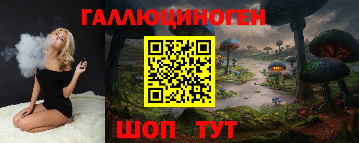 Псилоцибиновые грибы Cubensis  Вход с VPN  Балашов 